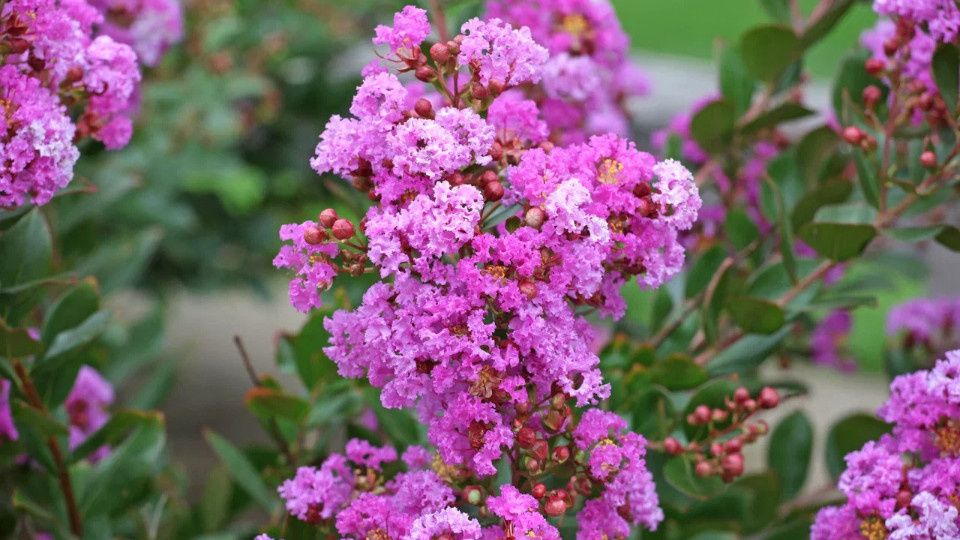 ������������: ������� ����� �� ��������� ������� � ����� ����