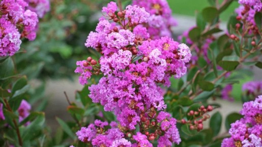 ������������: ������� ����� �� ��������� ������� � ����� ����