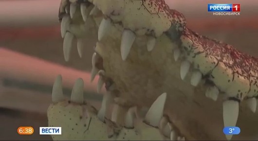 ���� � �� ����?. � ������������ ��� ����� ������ ��������� ���� � ���� ������, ��� ����� 25 ��� ��� � �������� ���������� � ������ ������