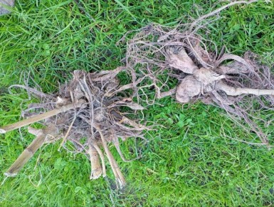 ��� ��������� ������ ��������: ������� ��� ���������� ��������