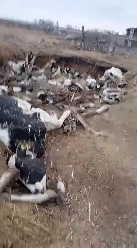 ������ �������� ��� �������������� ����: � ������������� ������� ����� �������� ������� ����� ��� �������� �����