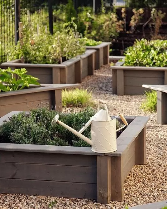 Как не упустить урожай в зной: простые советы по прополке