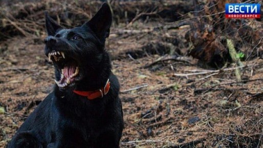 ����������� �� ����. ����������� ������������� ������� �������� ����� ������, �������� ������� ������������ ������