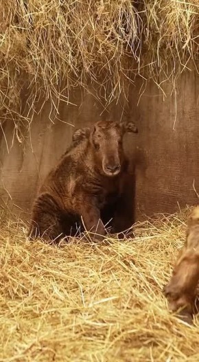 � ������������� �������� ����������!