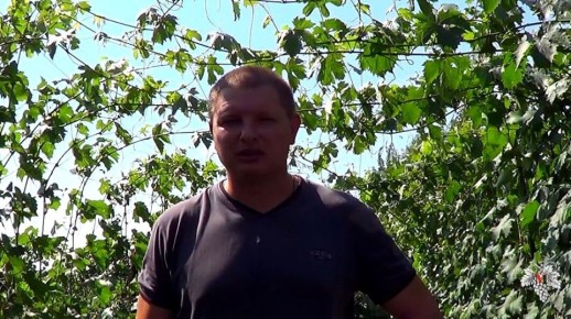 Эффективные методы формирования виноградников: секреты успешного урожая