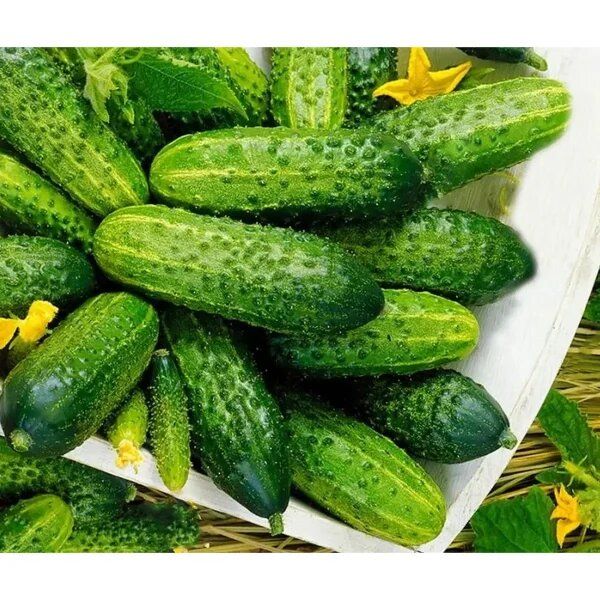 ������ �������-��������: ��������� ����� ��� ������� ������