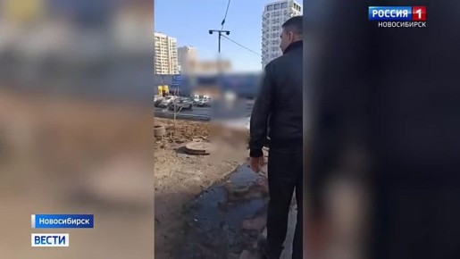 Новые соседи. Новосибирцы жалуются на большое крысиное гнездо на улице Большевистской