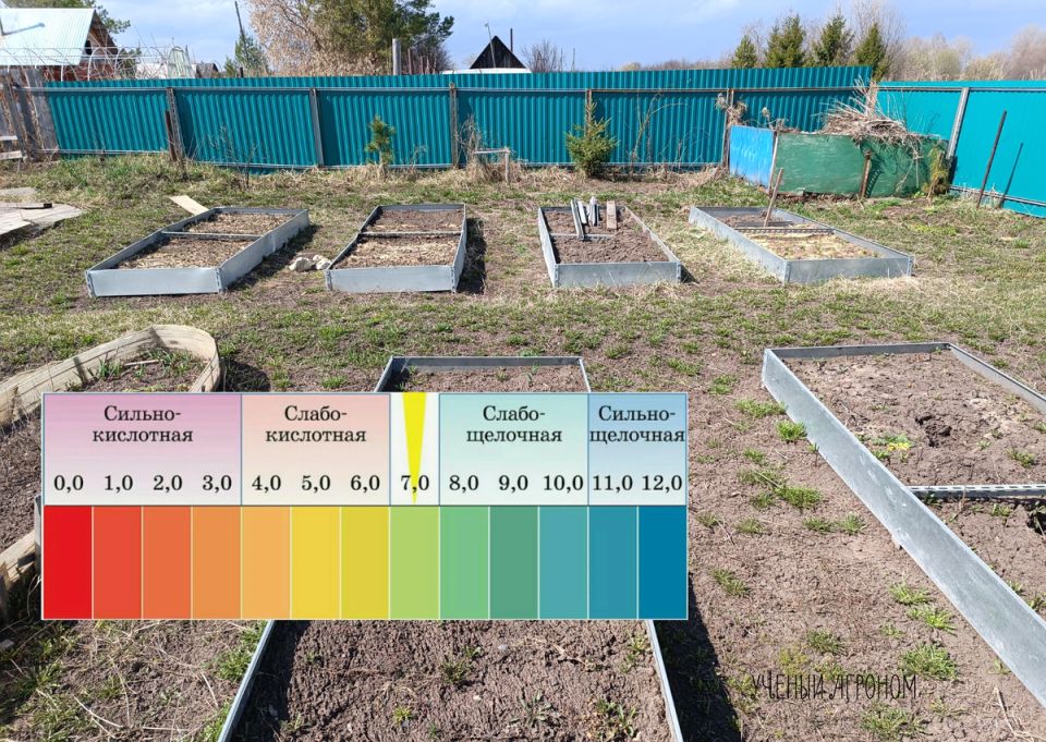 ������ ����� ����� pH ����� � ��� ��� ������� ���������