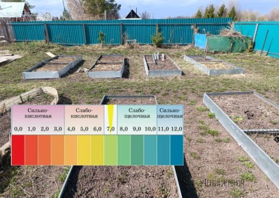 ������ ����� ����� pH ����� � ��� ��� ������� ���������