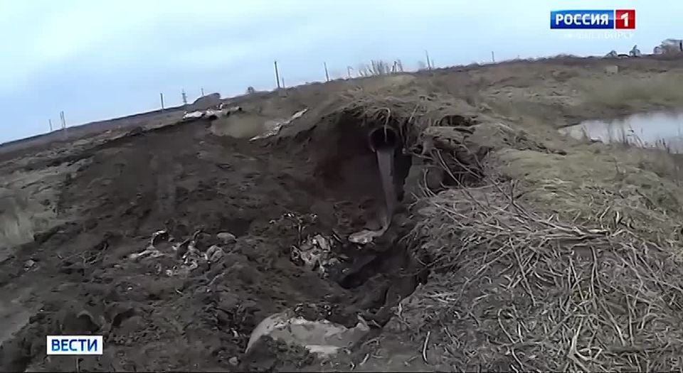 ����������� ���������. ������������ ������ � ����������� ������: � ������ ������ ���������� ���������� ���������