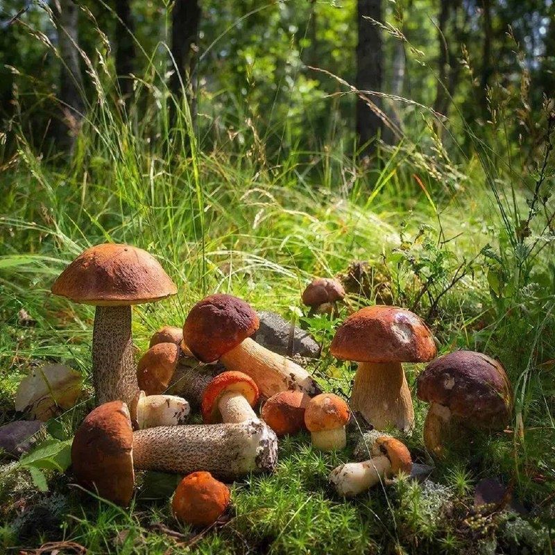 �������� ����� � �������� �� �� ��������: ��� ���� �����������?