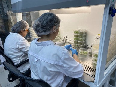 �������� �� ��������: ����� ��� ��������� ��� ������ ����?