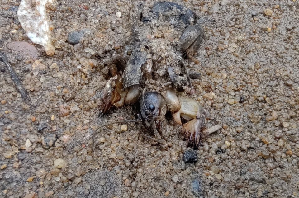 ��������: ��� ���������� � �������� ����� ���������� �����