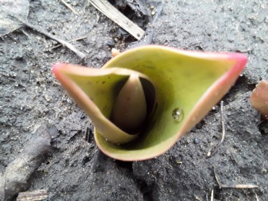 ������� �� ������ ��������� �� ������� ��������?