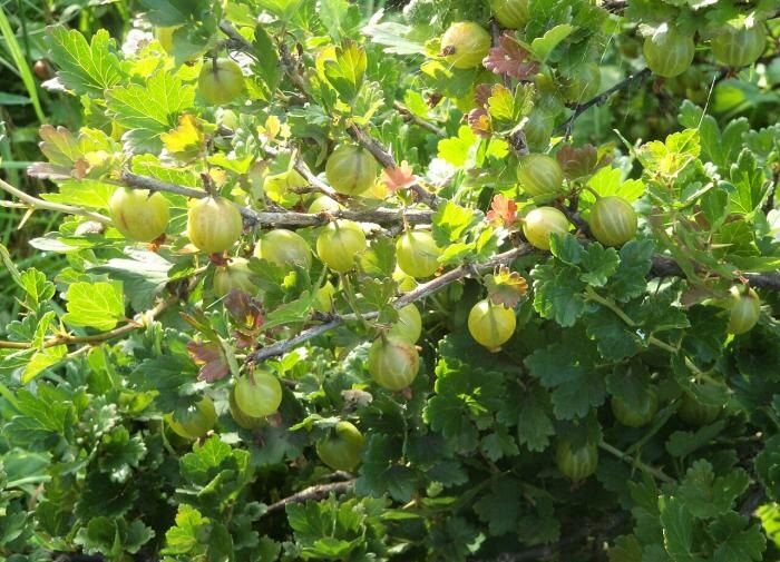 ��� ������ ���������� ��������� ��� ������� � ������ ����