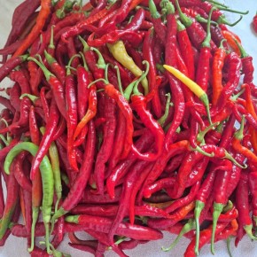 ��� ������������� � ������ �����: 8 ������������ ����� ��� ��������� gardening