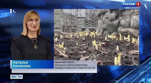 � ������� ��� ������ ������