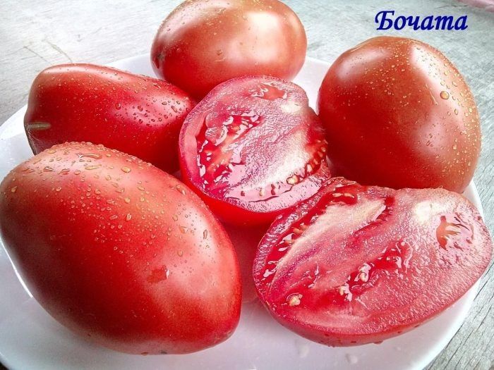 ����� ������: ������� ������ � ����������� ��������� ������ � ����������� �������