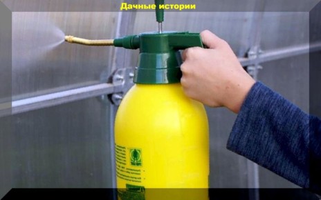 ��� ����������� ������� � ������ ������: �������� ���� ��� ��������� ������