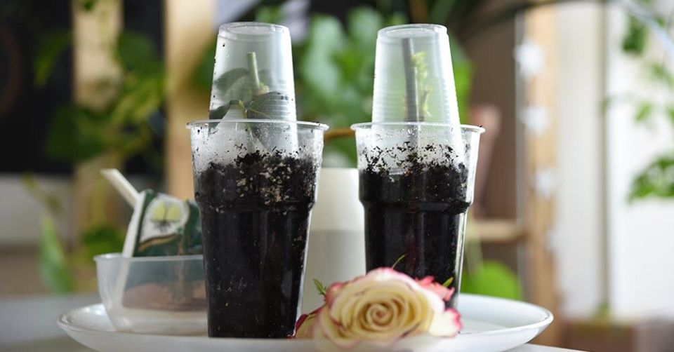 ��� ��������� ������� ��� � �������� ������ ����� ��������