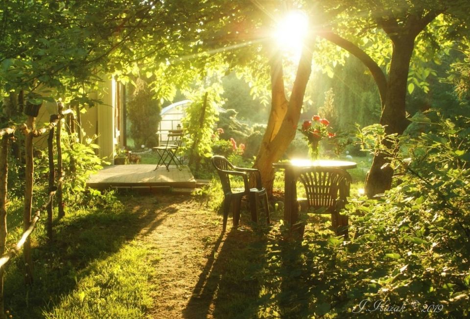 ��� ��������� ���� �������� � �������� ���������� ����: ������ ��� ���������