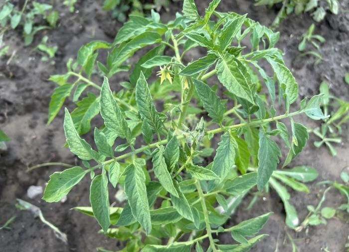 ����� ����� ������� ������� � �������� ����?