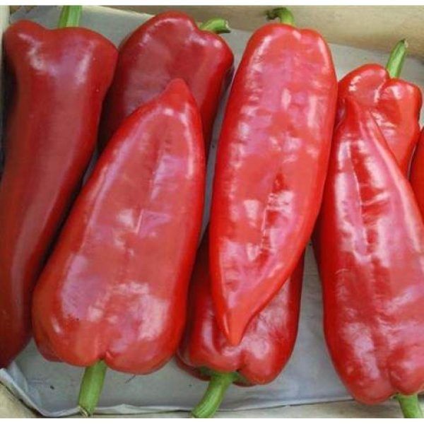 ����� ������: ��������� ������ ��� ������� ������