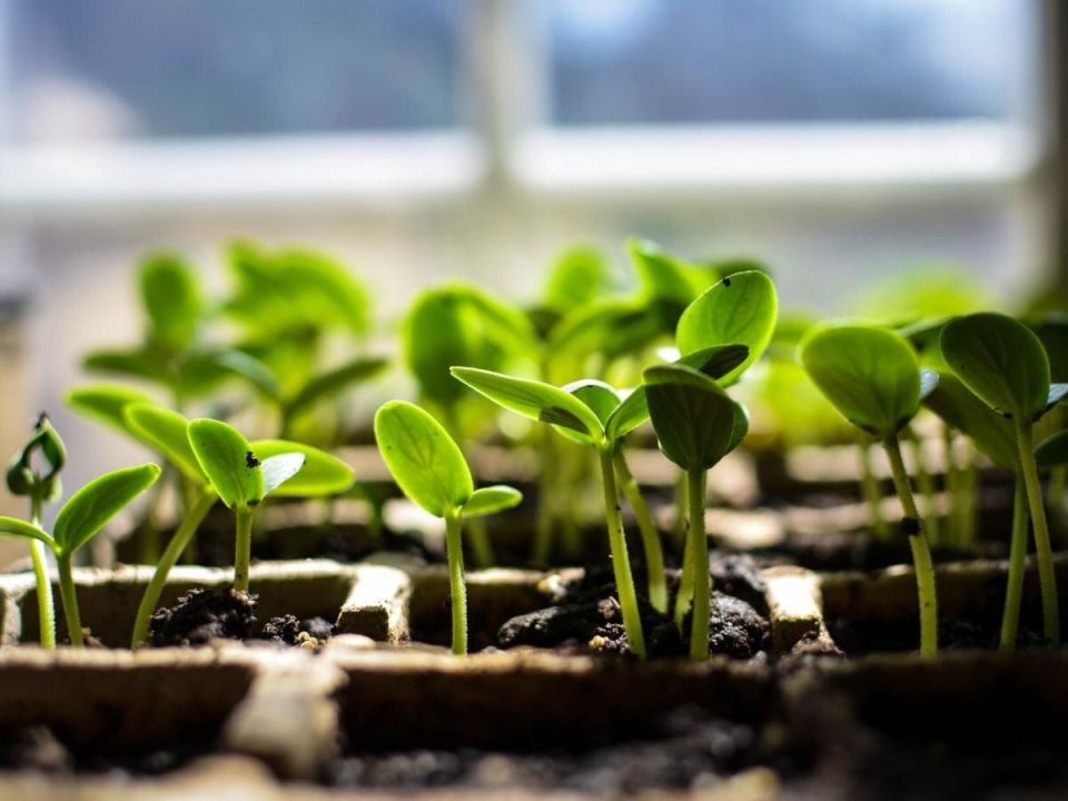 ��� �������� ������� ���������� � ������� ��� �����������