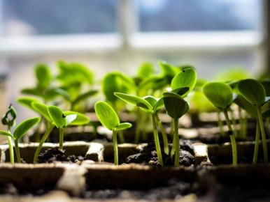 ��� �������� ������� ���������� � ������� ��� �����������