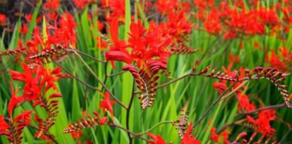 ���������: ����� ��������� ������ ����, � ������� ������� ��������