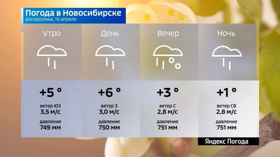 ������� ������ �� 19 ������ 2026 ���� � ������������� �������