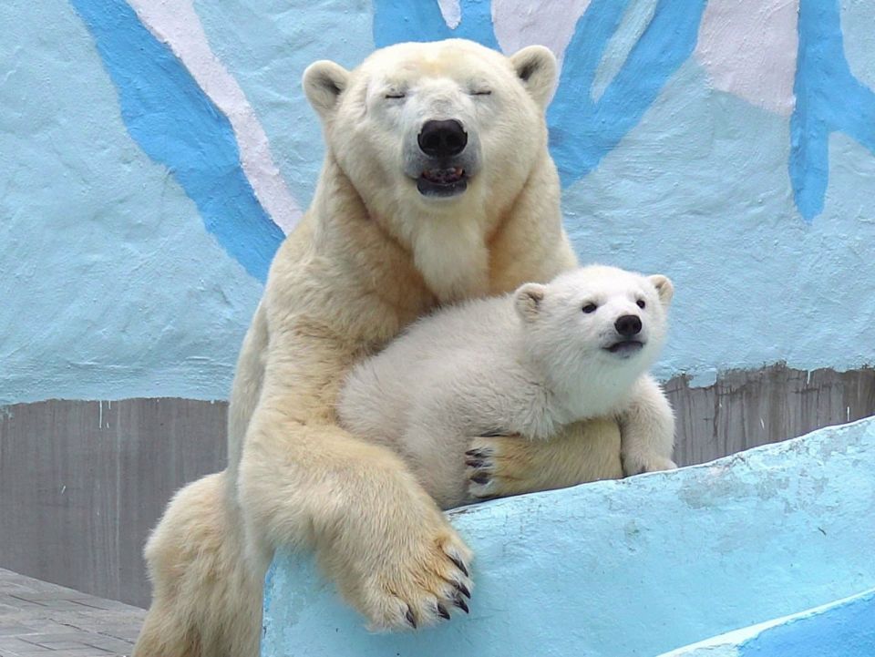 �������, ����� �� ����� �� ���������� �� ��������! ������ ����� ���������� ����� � �����������