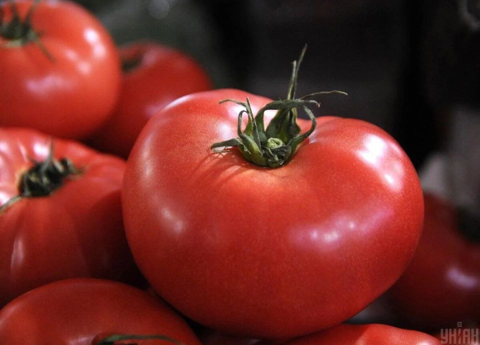 �������� �� ��������: �������, ��� ������� �� ������ � �������