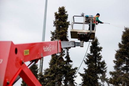 �������� ����� ��������� ��������� ������� � ���������