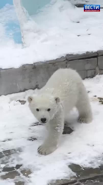 �������� ����. � ��� � ����� �� �������������� �������� ����� �������������� ����������, � �� ��� ����� ��������� ���� ������