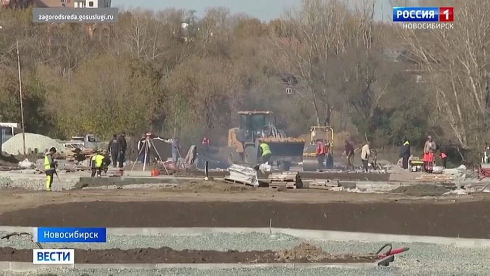 ����� 80 ��������. ������� ������������� ������� ���������� ������� ������� �� ������������� ����������� �� ���������������