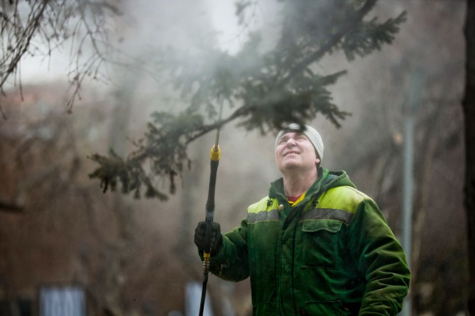 ���� �� ������� ������ ������ �� �����