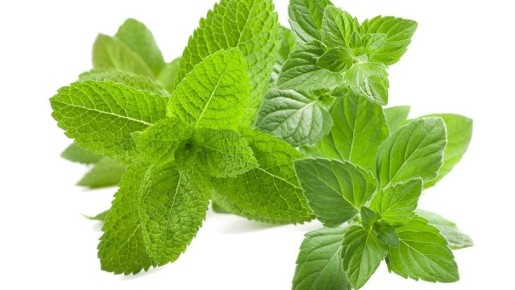 ����������� ���������� ������: �������� ������� � ��� �������� ��������