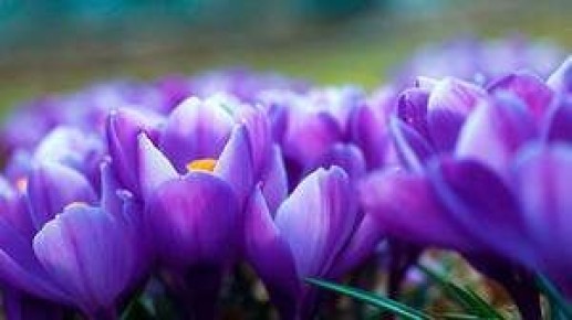 ������: ������������ ��� ������� � ��� ����