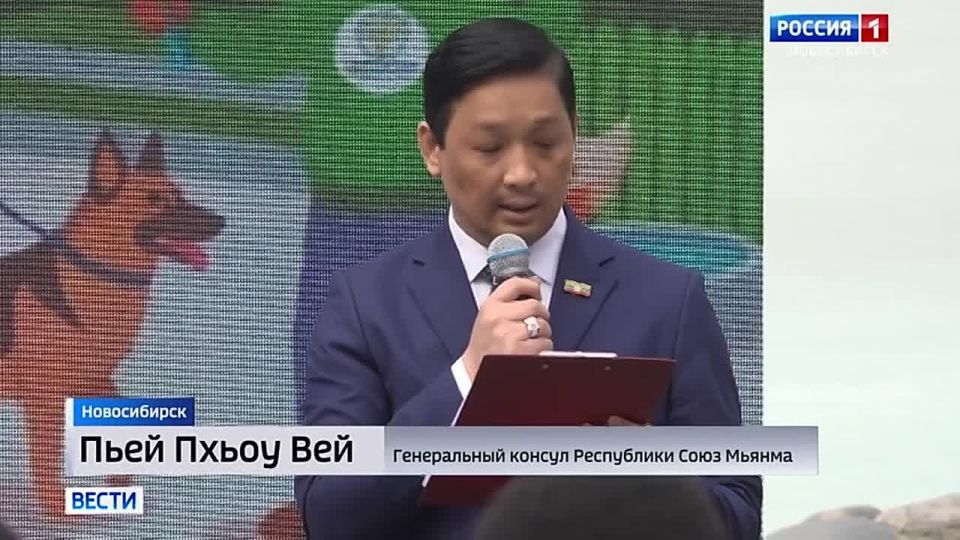 ��� ����� ��������. ������������� ���������� ������� �� �������� ������� � ������������� ��������