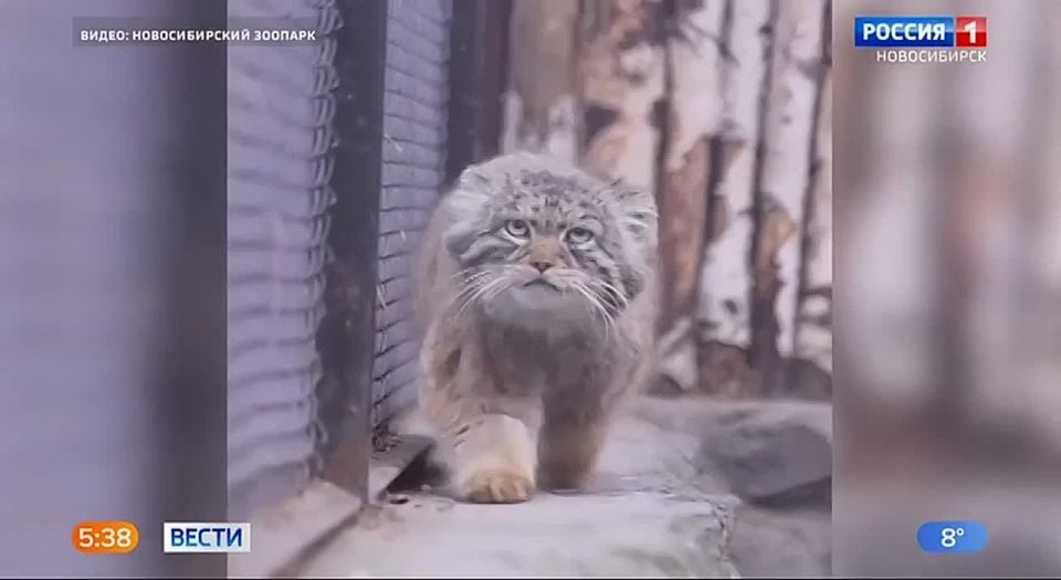 ���� ������. ������� �� ��� ���� �������� ���� ������! � ������������� �������� ���� �������������� ����� ���� � 90-� � ����� ���� �������� �������