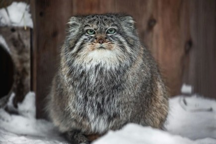 23 ������ � ������������� ���� ������