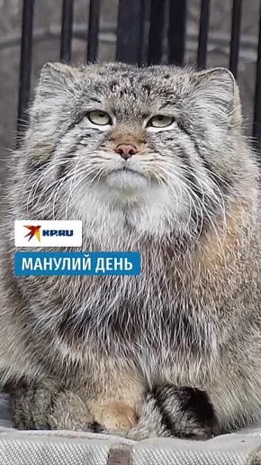 � �� ������, ����� ������� ��������? ������������� ���� ������! ��� ������� ������ �� ������� ������������