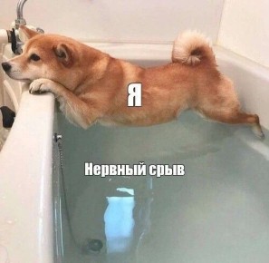 ������ �������, ������ ���� ����� ����������� �� ������ ��� �� �������