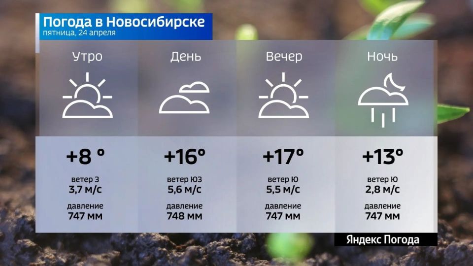 ������� ������ �� 24 ������ 2026 ���� � ������������� �������