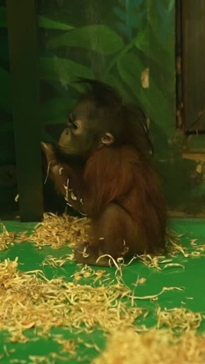 � ������������ �������� ���������� ������ ����������� 9 �������