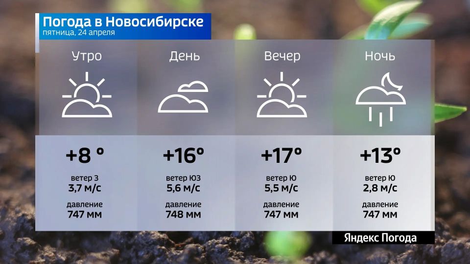 ������� ������ �� 24 ������ 2026 ���� � ������������� �������