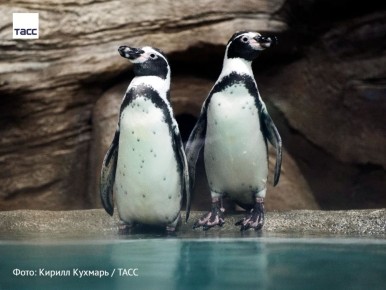 #�����_����_������. 25 ������ ���������� ��������� ���� ���������