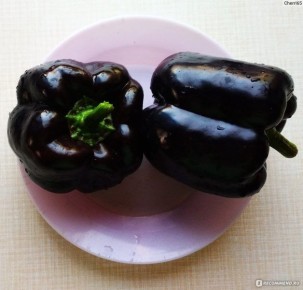 ����� ������: ������� � ��������� ���� � ���������� ��������