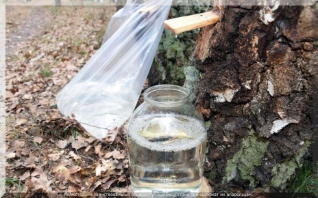 ��������� ���: ��������� ������� ��� ������ ���� � �������